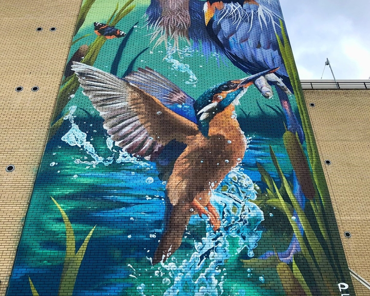 A mural covers the side of a multi story building depicting a heron and a kingfisher in a river.