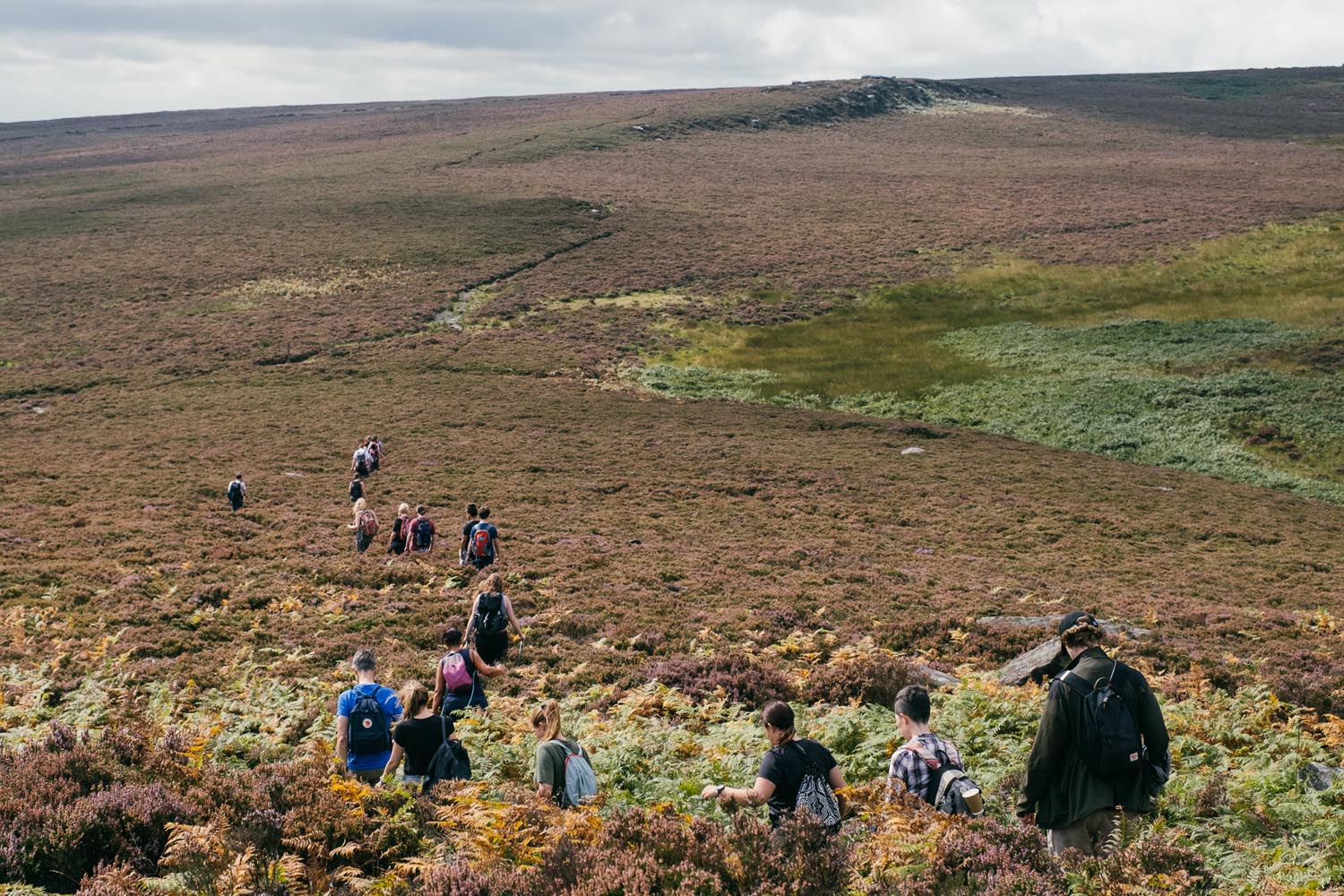 Group of people walking through the heather in the countryside.
