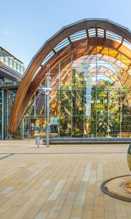 A view of the outside of the Sheffield Winter Garden seen from Millennium Square.