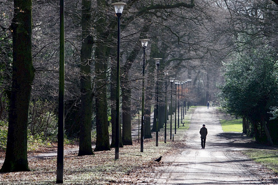 A tree-lined park path with evenly spaced lampposts stretching into the distance. The ground is covered with a mix of gravel and scattered leaves, and bare branches suggest a late autumn or winter season. A person is walking along the path, and another figure is visible farther away. Sunlight filters through the trees, creating soft shadows on the pathway.
