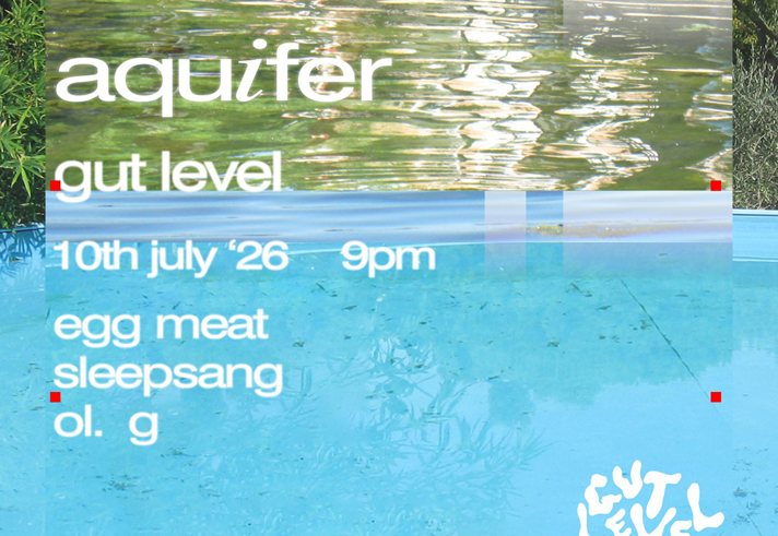 Poster for the event, listing the details over an abstract image of water and plants.