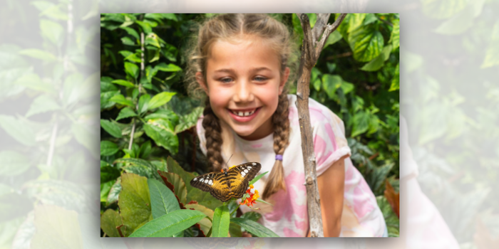 Person with braided hair leans among lush green plants, looking at a large orange, black and white butterfly resting on small orange flowers in the foreground. The butterfly is in sharp focus with wings spread open, while the surrounding leaves and garden foliage create a vibrant natural backdrop.