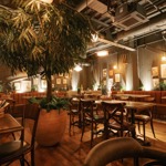 A warmly lit restaurant interior with wooden floors, wooden tables and chairs, large potted plants, and soft ambient lighting, creating a cosy, natural atmosphere.