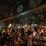 A lively indoor restaurant scene with musicians performing on a small stage and guests seated at tables, surrounded by hanging plants and warm atmospheric lighting.