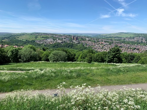Panoramic view of a green hillside with wildflowers in the foreground, overlooking a town nestled among rolling hills and valleys under a bright blue sky with scattered wispy clouds.