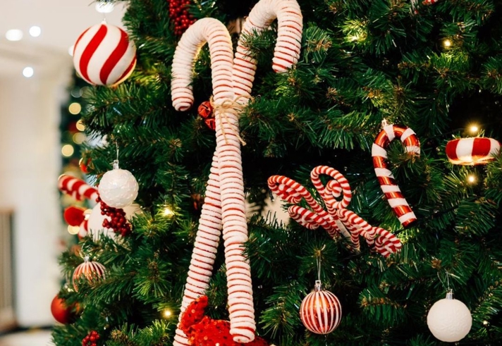 Close-up of decorations on a Christmas tree, all in a red and white colour theme.