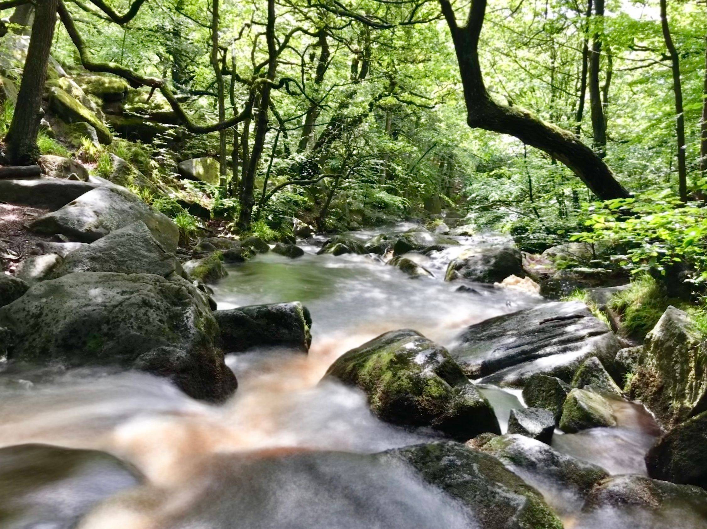 Babbling brook at Padley Gorge which can bee seen on the Grindle Train Station walkleford Train