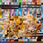 Cakes At Novel Book Shop