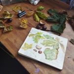 A table with various leaves, conkers and conker cases laid out. There is also a sketch book with watercolours and notes about all these items.