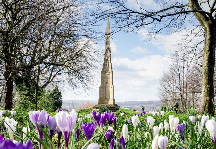 A tall stone monument with a pointed spire stands in a landscaped park surrounded by trees. In the foreground, vibrant purple and white crocus flowers bloom, creating a colorful frame for the monument. The background shows rolling hills under a partly cloudy sky, adding depth to the scenic view.