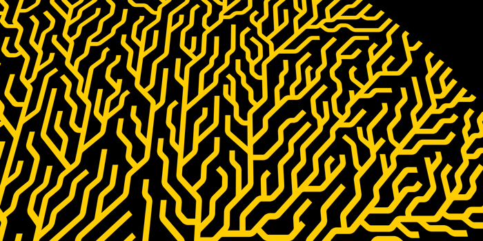 Abstract digital artwork showing a semi-circular pattern of branching yellow lines on a black background. The design resembles a network or tree-like structure with intricate, circuit-like connections radiating outward, creating a sense of growth and complexity.