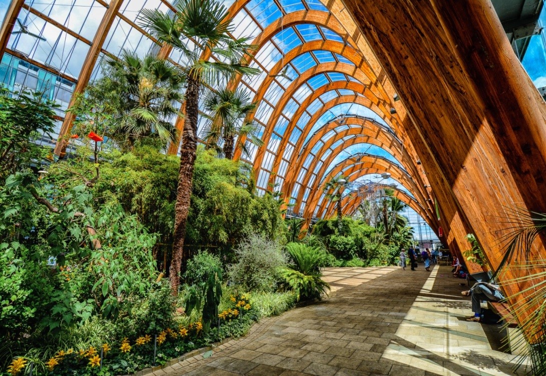 ndoor botanical garden with a high arched glass roof supported by large wooden beams. The walkway is lined with lush greenery, including palm trees, flowering plants, and dense foliage. Sunlight streams through the glass panels, creating a bright and vibrant atmosphere. Benches are placed along the path, and the space feels open and tropical.