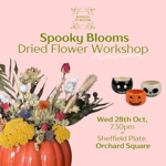 Promotional poster for “Spooky Blooms: Dried Flower Workshop” by Rosalia in Bloom. Set against a soft pink background, the design features an orange pumpkin filled with dried flowers, grasses and foliage in autumn colours. Small Halloween-themed containers, including a pumpkin and skull design, appear alongside the arrangement. Green text gives the event details: Wednesday 28th October, 7.30pm at Sheffield Plate, Orchard Square. Decorative floral branding appears at the top.