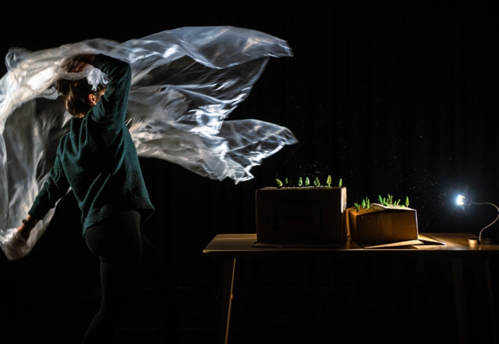 A person pulling a polythene sheet off a table that has a scale model of a forest.