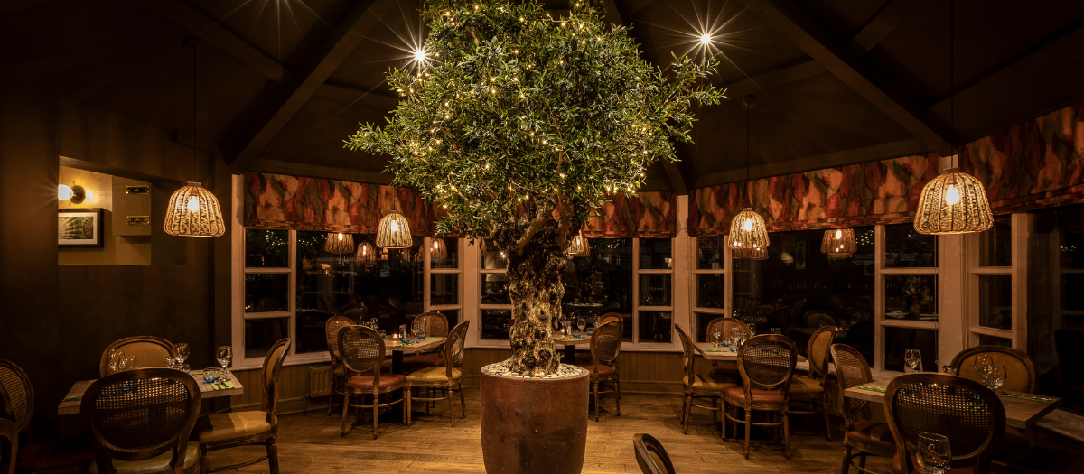 Interior of Ego Mediterranean at night.