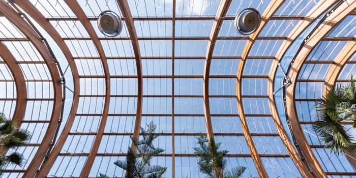 The roof of the Sheffield Winter Garden.