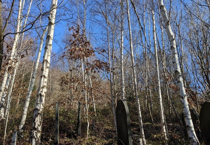 Grave stones at Wardsend Cemetery.