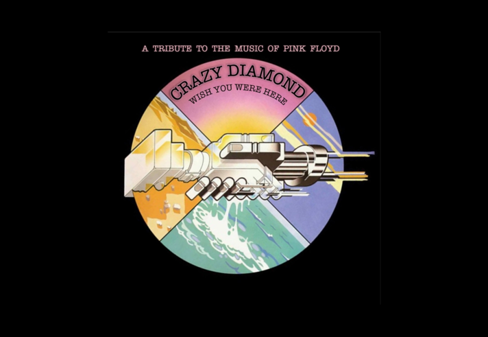 The image from the Pink Floyd album 'Wish You Were Here'.
