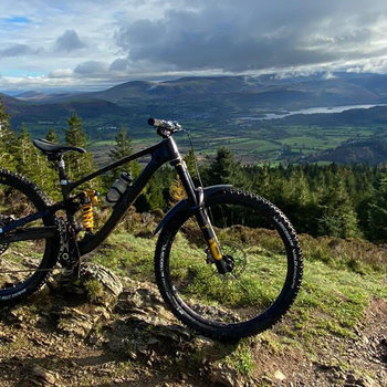 A mountain bike in the wild.