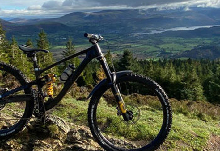 A mountain bike in the wild.