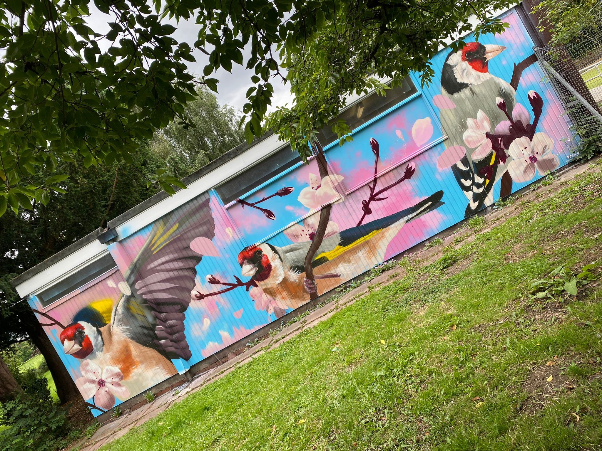 A vibrant mural on a building wall featuring realistic goldfinches perched on blossoming branches against a bright blue and pink background. The artwork spans the entire side of the structure, blending natural elements with bold colors. Green grass and leafy trees frame the scene, adding contrast to the vivid mural.