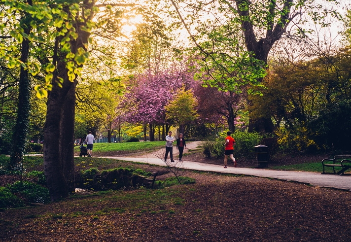 A path through a wooded are in Endcliffe Park. © Shane Rounce