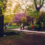 A path through a wooded are in Endcliffe Park. © Shane Rounce 