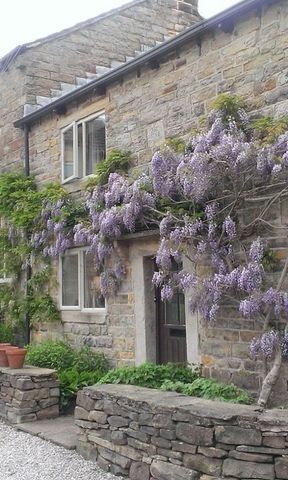 Loadbrook Cottage – exterior view with purple flowers hanging across the front of the building
