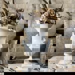 A white porcelain vase, in the style of a Greek urn, with dried flowers in.