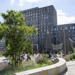 Pound's Park full of people playing and having fun on a sunny day.
