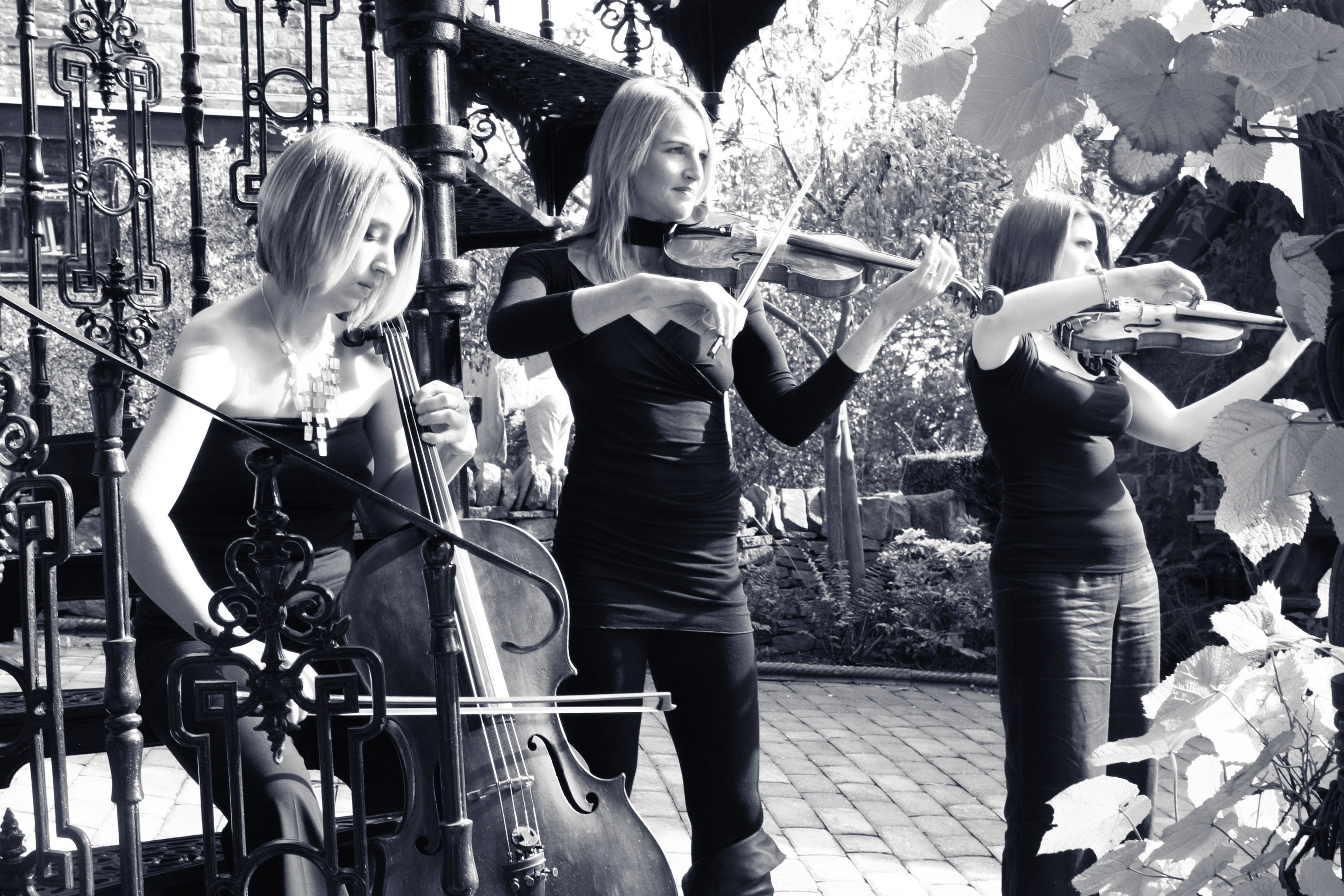 Three musicians perform outdoors beside an ornate spiral staircase, playing cello and violins. They wear dark clothing and stand or sit among leafy plants, with sunlight filtering through the trees. The black‑and‑white image captures a calm, elegant atmosphere.