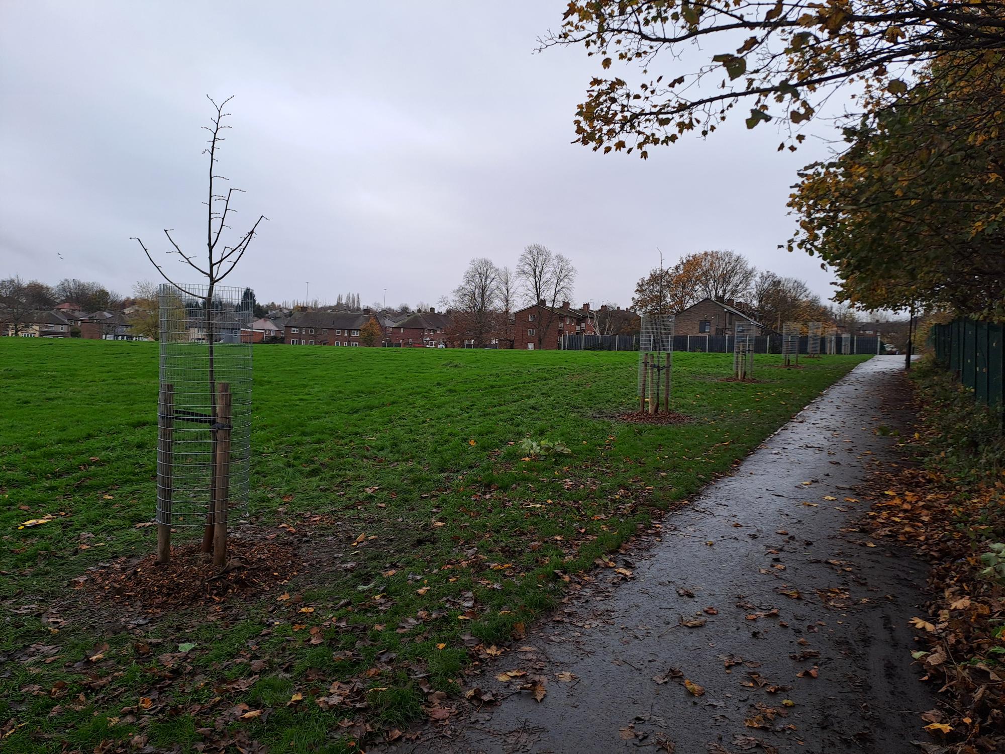 A wet footpath runs alongside a grassy field with several young trees protected by wire guards. Fallen autumn leaves scatter across the path and grass. In the background are houses, a building, and leafless trees under a grey, overcast sky. A metal fence lines the right side of the path, and branches with remaining brown leaves hang overhead.