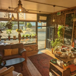arm, sunlit café interior with exposed brick walls, wooden floors and large front windows. Hanging lights and numerous potted plants create a cosy atmosphere. A brown leather sofa, armchair, coffee table and patterned rug form a seating area near the window. To the right, a counter displays cakes, cups and a coffee machine, while golden evening light streams through the glass, illuminating the space.