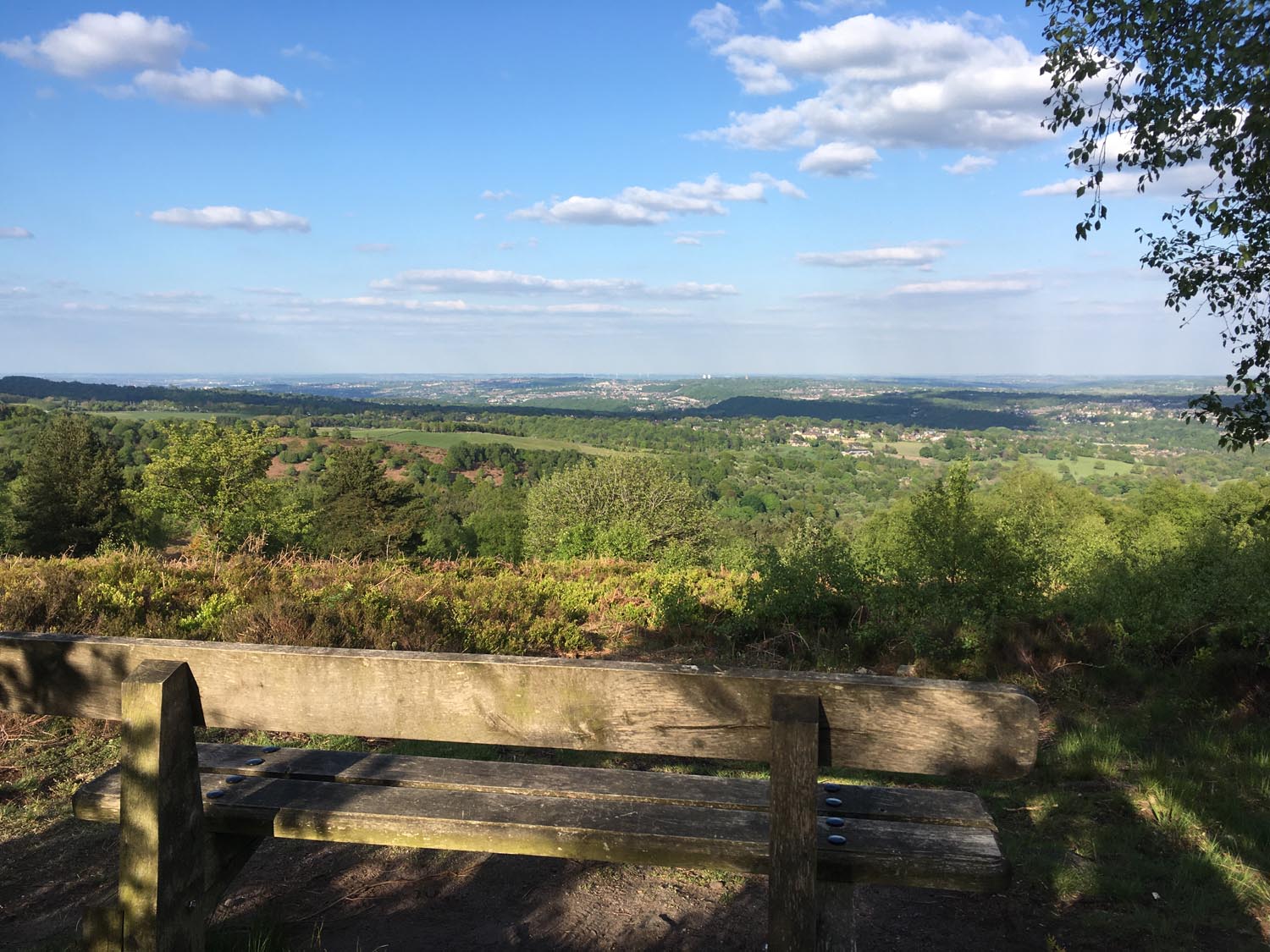 A wooden bench sits in the foreground, overlooking a scenic landscape of rolling green hills, scattered trees, and a clear blue sky with fluffy white clouds. The peaceful setting suggests a place for quiet reflection or enjoying nature.