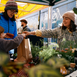 A person buying a plant from a stall at Pollen Market.