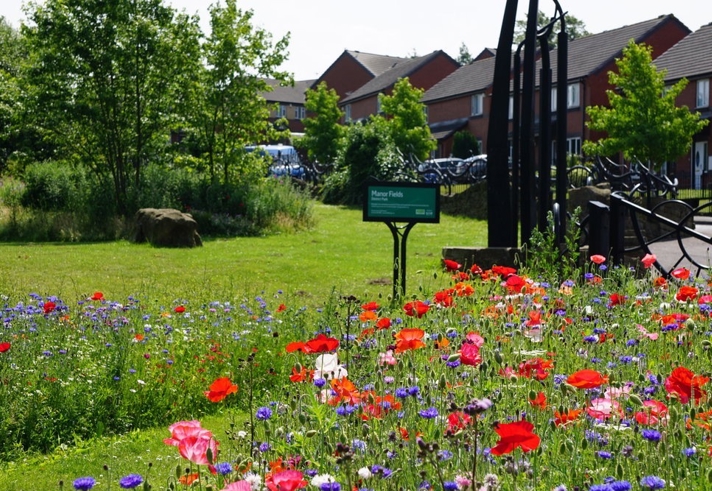A vibrant garden with red poppies and purple cornflowers in full bloom, set in front of brick houses and a row of trees. A green sign in the centre reads 'Flower Patch' under a bright, sunny sky.