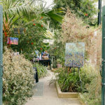 Art prints displayed in the glass house at Sheffield Botanical gardens 