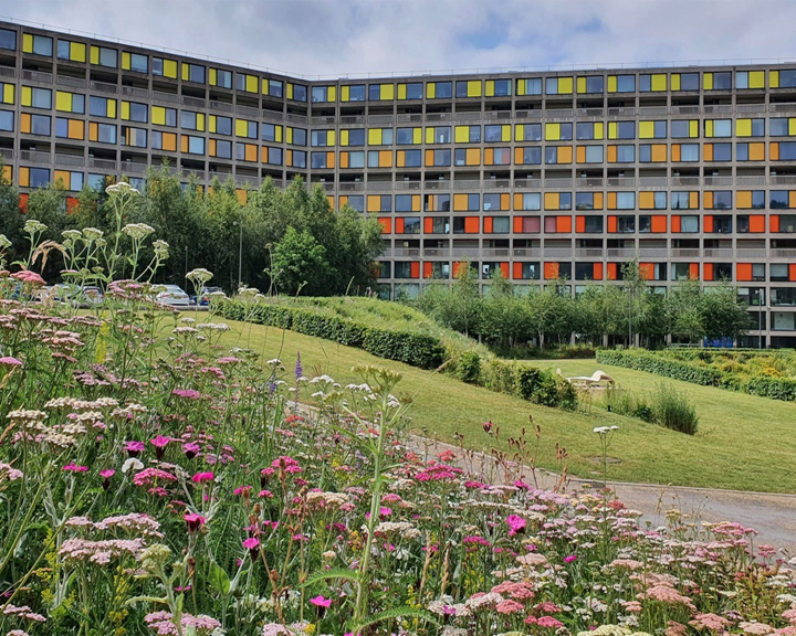 The exterior of Park Hill Flats.