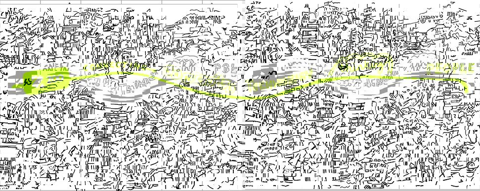  ZOO Artwork Full Sketch