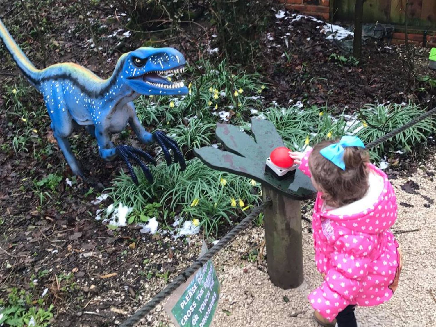 A child looks at a model of a dinosaur.