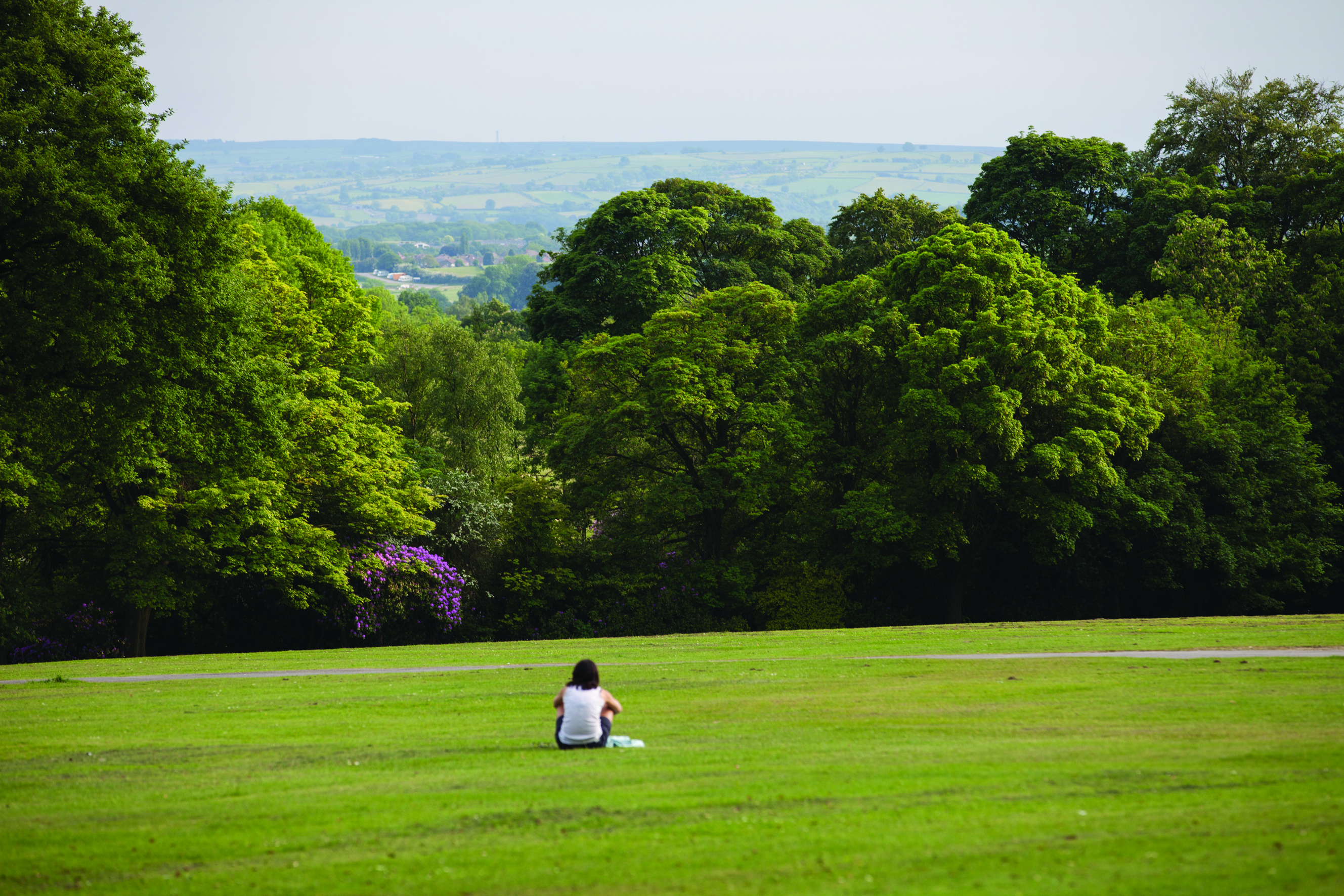 A person sits alone on a large grassy field, facing a backdrop of dense green trees and distant rolling hills under a pale sky. The scene conveys an open, peaceful park setting with natural greenery and expansive space.