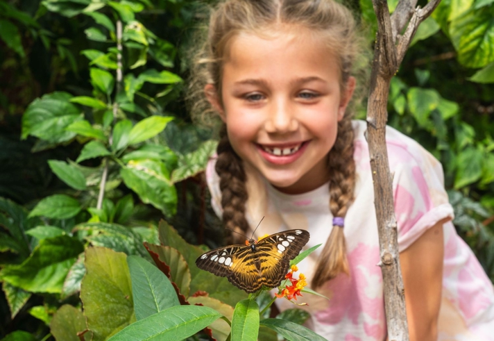 A smiling young girl with braided hair leans forward to observe a butterfly resting on a small orange flower. Surrounded by lush green tropical plants, she watches closely with curiosity. The butterfly’s patterned orange, black and white wings are in sharp focus in the foreground, creating a colourful wildlife encounter in a butterfly house or tropical garden.