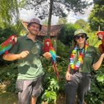 Two wildlife park staff stand in a lush garden setting wearing green uniforms and colourful hats. Each holds a bright red scarlet macaw perched on an arm, while a third macaw sits on the man’s shoulder. Sunlight filters through the trees, highlighting the birds’ vivid red, blue and green feathers against the surrounding greenery.