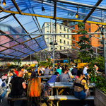  A busy outdoor seating area filled with people at wooden benches under a transparent canopy. The sun shines brightly overhead, casting strong light and highlighting surrounding greenery.