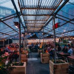 Triple Point Brewery beer garden. Groups of people are sat on wooden benches, with transparent roofing and twinkly fairy lights above.
