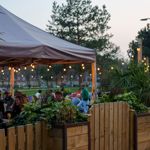 An outdoor beer garden with fairy lights strung about.