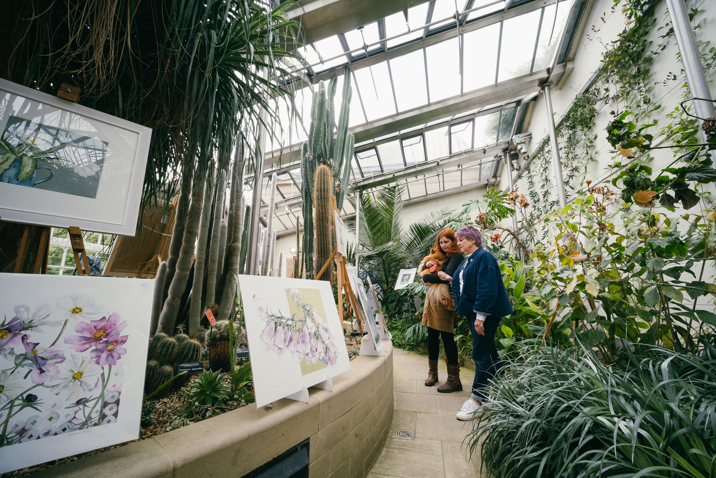 Two people look at paintings on display in a botanical glass house.