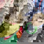 Small children playing in the woods.