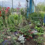 A man dressed in blue stands next to a flowerbed.