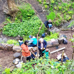 A group of people in a woodland clearing are taking part in a workshop.